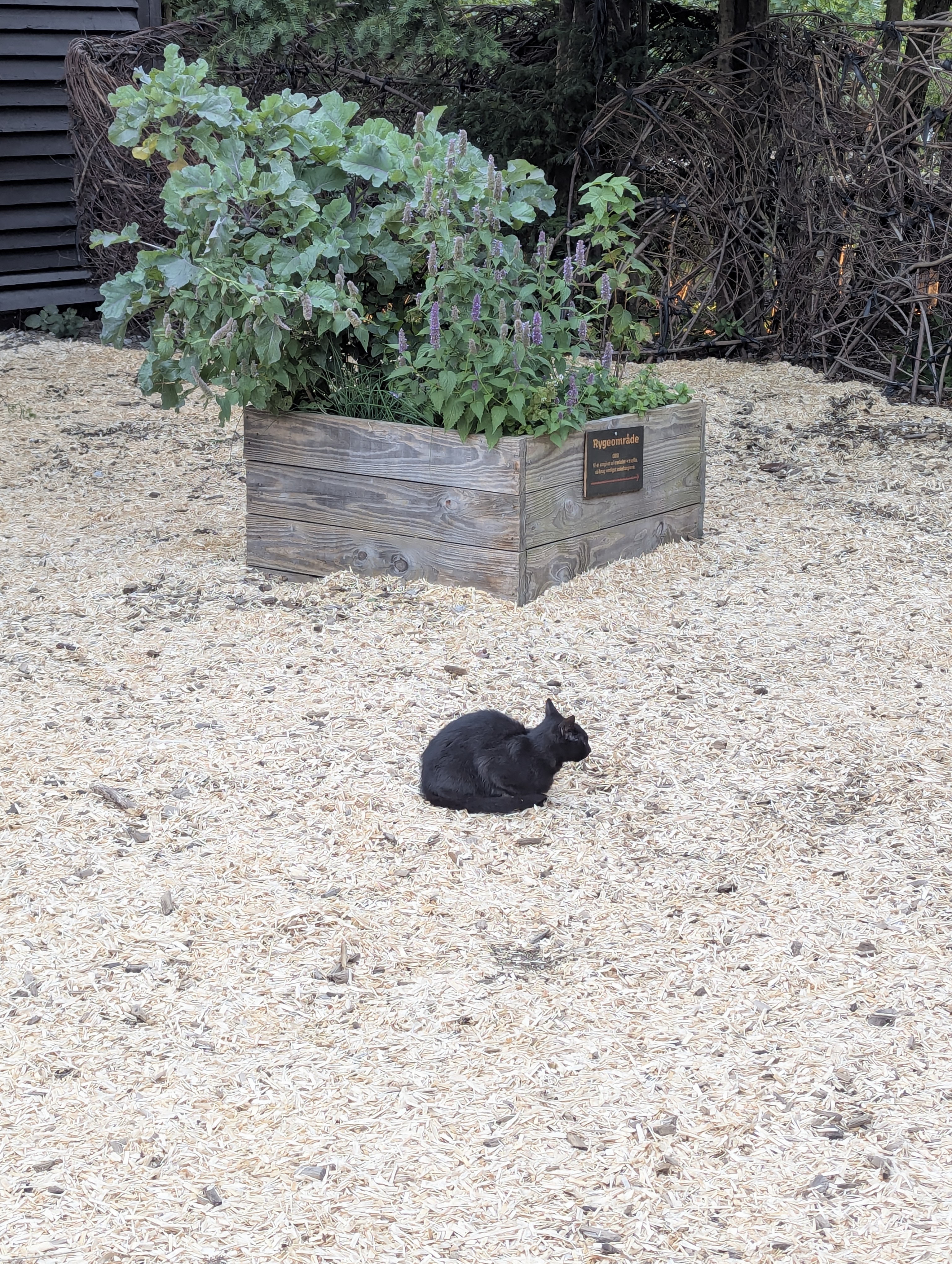 Lyngby, Copenhagen, Barn Party, Denmark